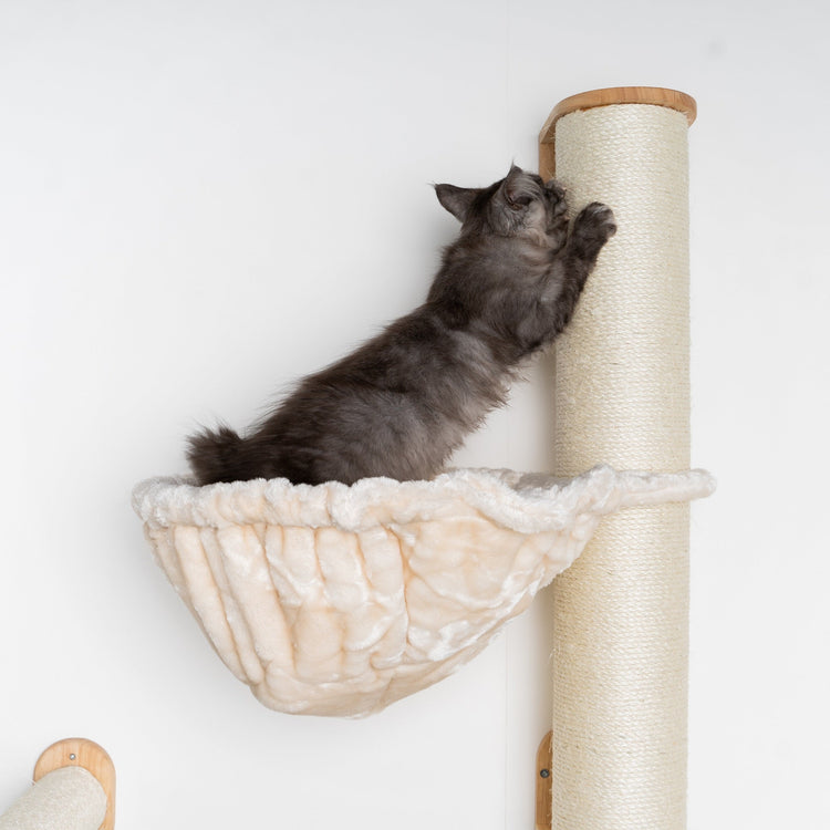 Cat Climbing Wall - Wall Sisalpole XXL with 45Ø Hammock de Luxe (Beige)