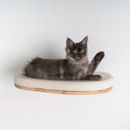 Cat Climbing Wall - Luxury Cat Wall Bed (Beige)
