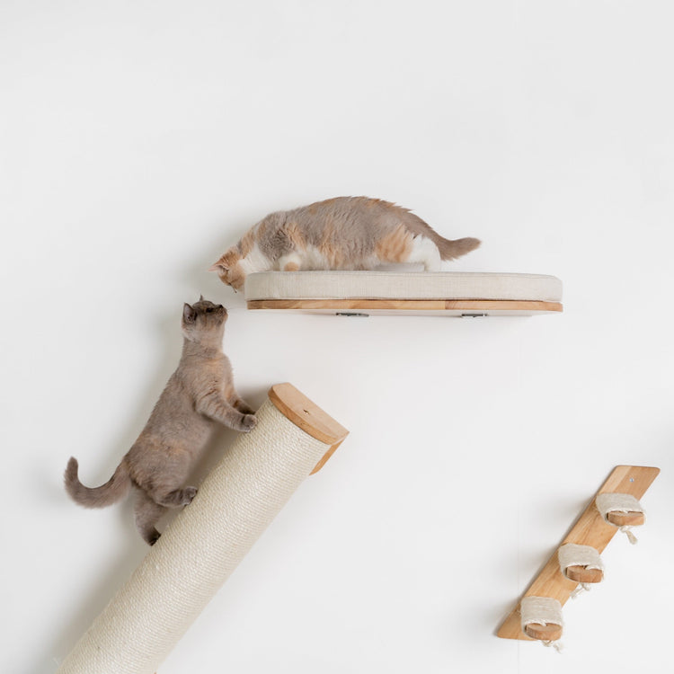 Cat Climbing Wall - Luxury Cat Wall Bed (Beige)
