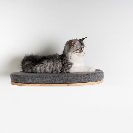 Cat Climbing Wall - Luxury Cat Wall Bed (Grey)