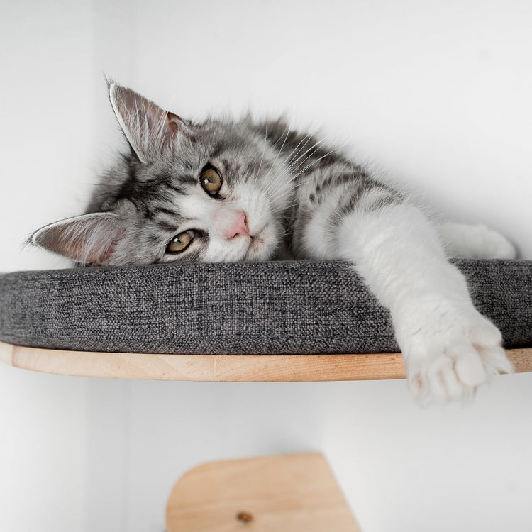 Cat Climbing Wall - Luxury Cat Wall Bed (Grey)