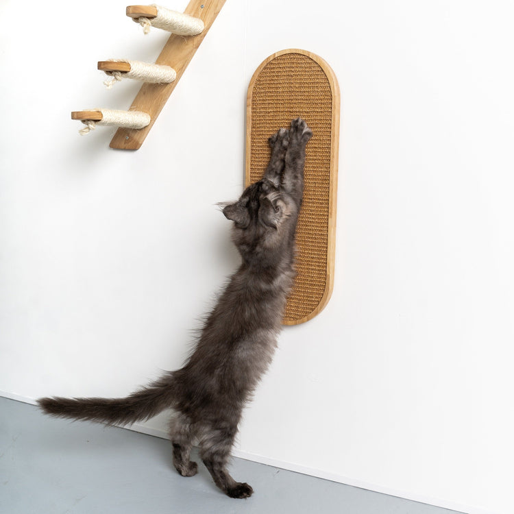 Cat Climbing Wall - Wall Scratchboard de Luxe (Rubberwood Khaki)