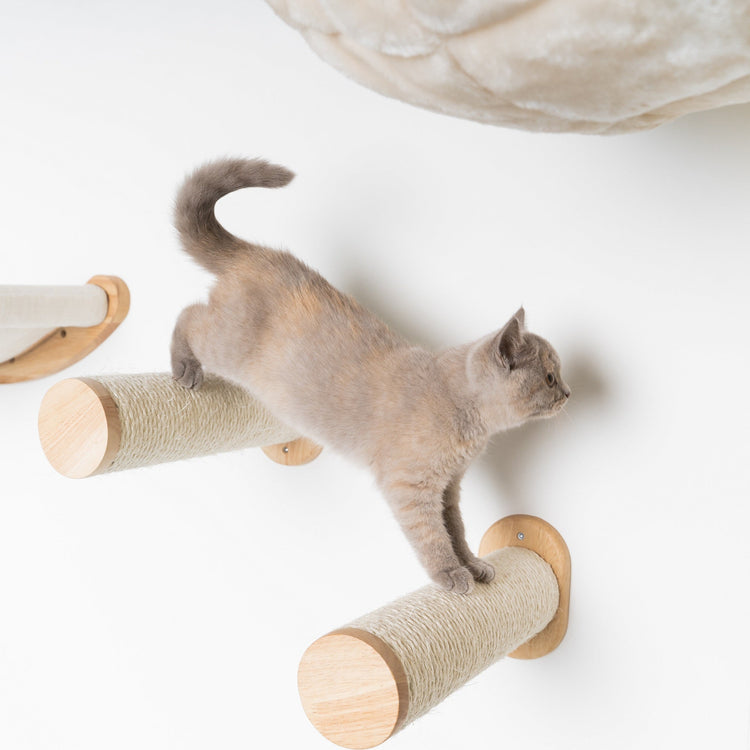 Cat Climbing Wall - Wall Sisalpole Set (Beige)