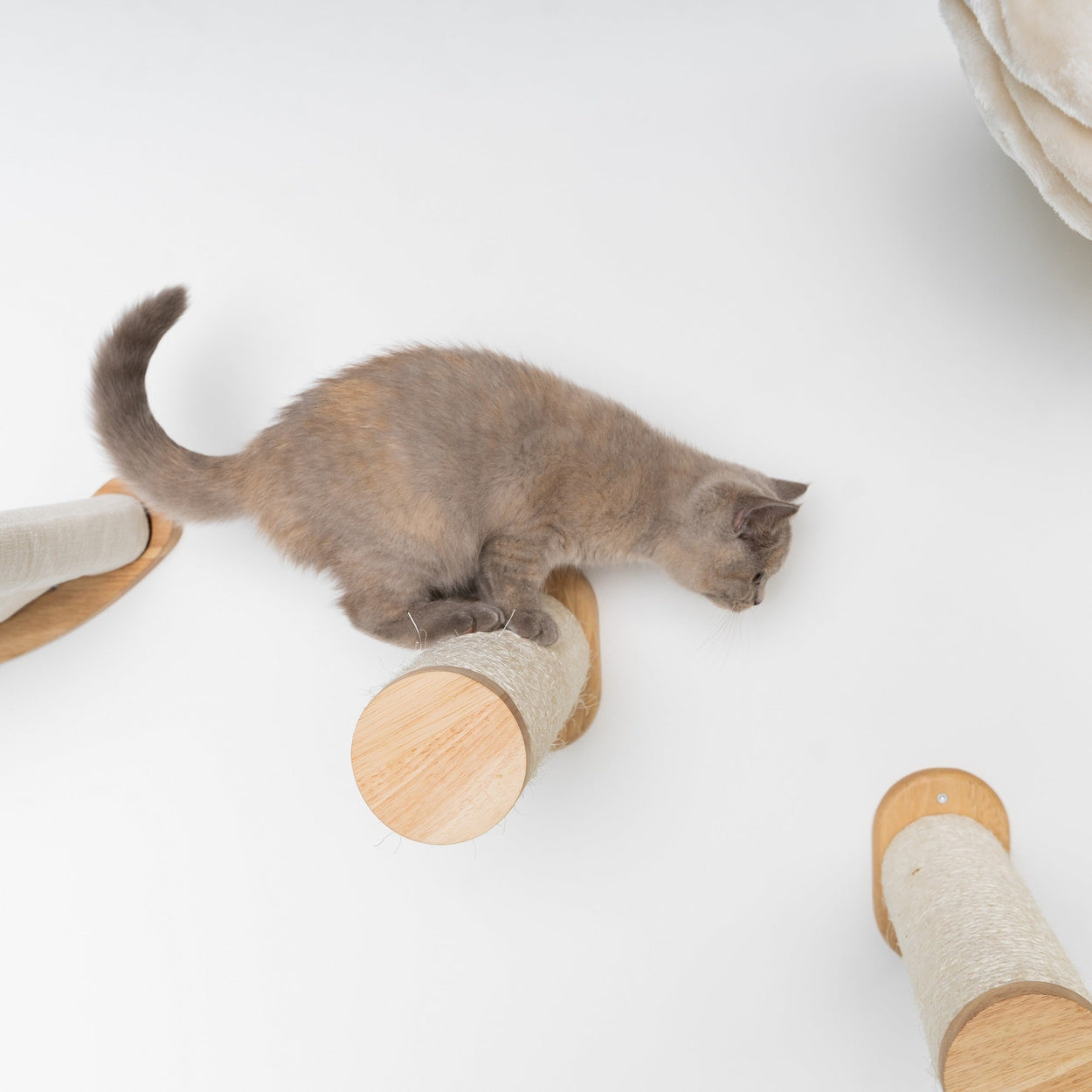 Cat Climbing Wall - Wall Sisalpole Set (Beige)