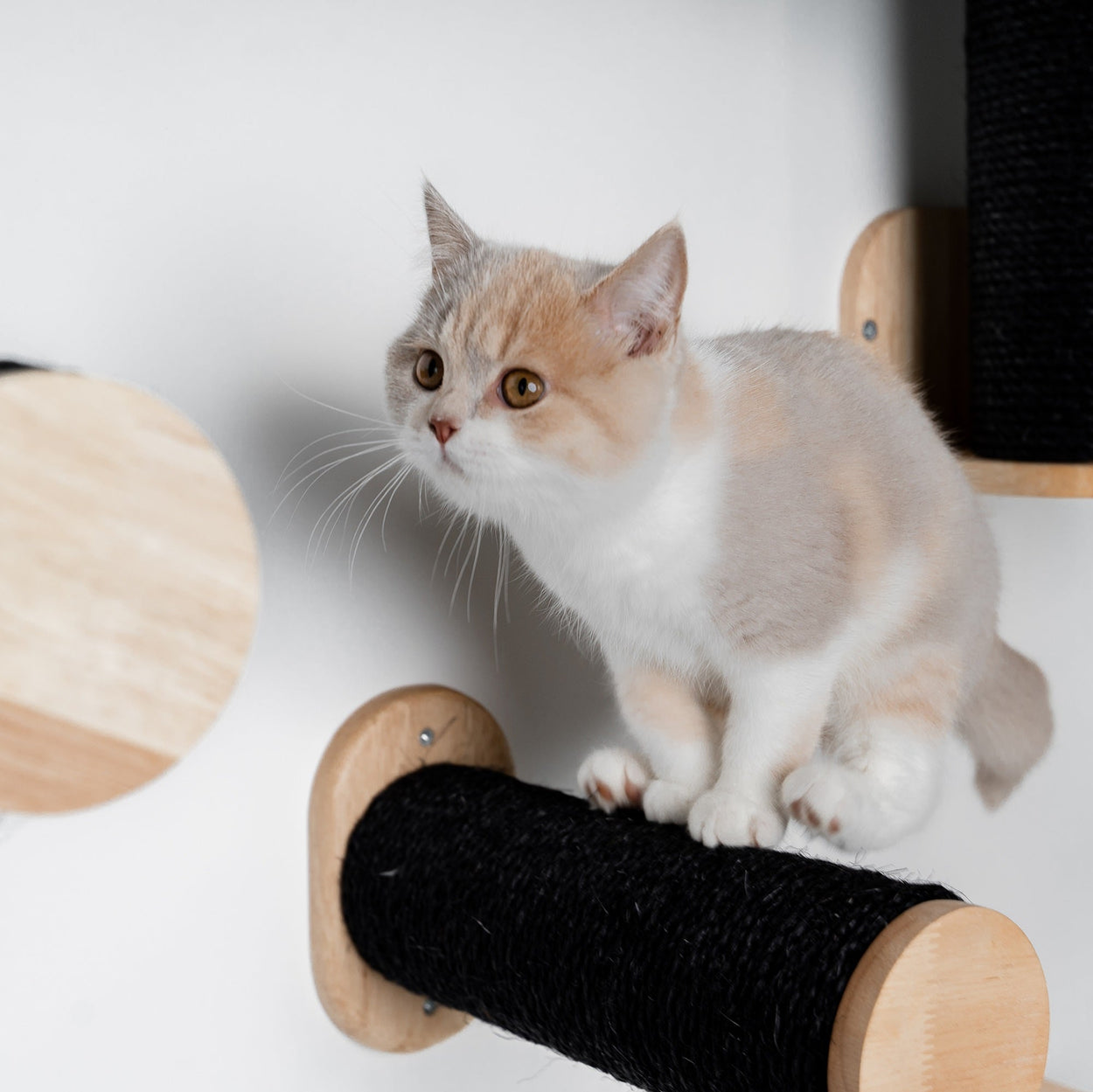 Cat Climbing Wall - Wall Sisalpole Set (Blackline)