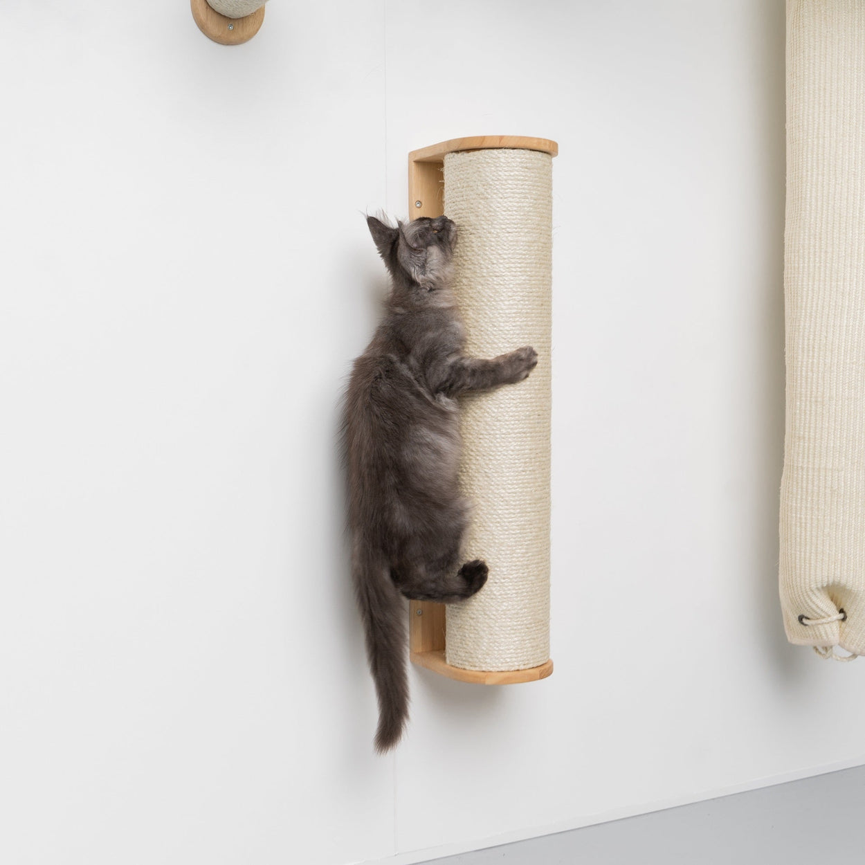 Cat Climbing Wall - XXL Wall Sisalpole (Beige)
