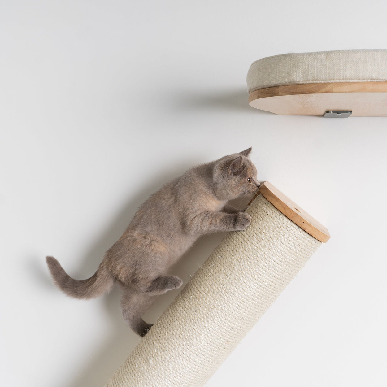 Cat Climbing Wall - XXL Wall Sisalpole (Beige)