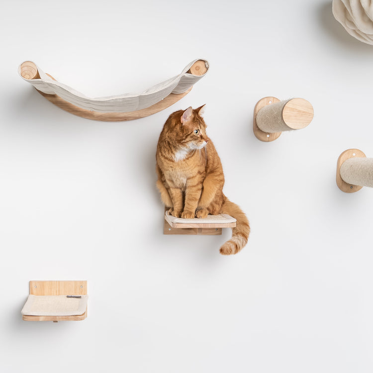 https://rhrpets.co.uk/cdn/shop/products/rhrquality-rhrpets-cat-climbing-wall-system-wall-plate-beige-1_750x.jpg?v=1688316883