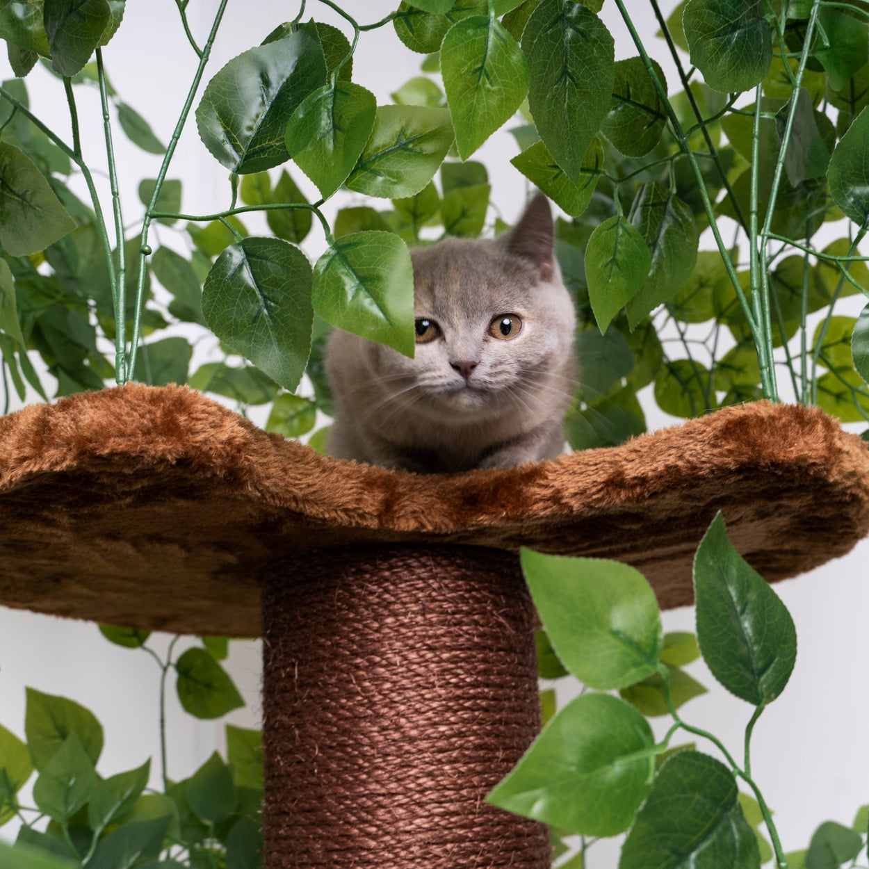Design Cat Tree Natural Leaves (Brown)1